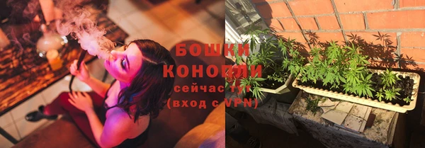 бошки Надым