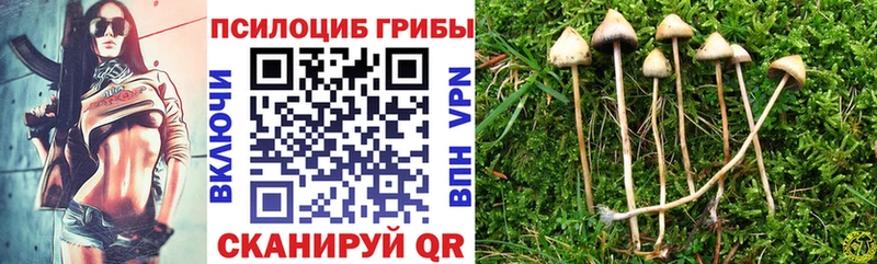 Псилоцибиновые грибы Psilocybine cubensis  мега зеркало  Казань  сколько стоит 